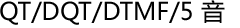 QT/DQT/DTMF/5 音
