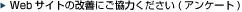 Web�T�C�g�̉��P�ɂ����͂��������i�A���P�[�g�j