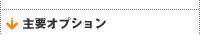 主要オプション