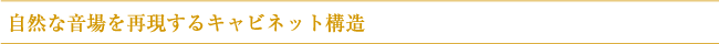 ���R�ȉ�����Č�����L���r�l�b�g�\��