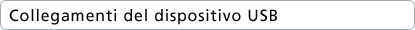 Collegamenti del dispositivo USB