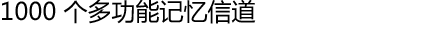 1000 个多功能记忆信道