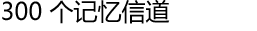 300 个记忆信道
