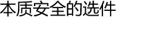 本质安全的选件