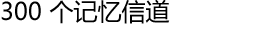 300 个记忆信道