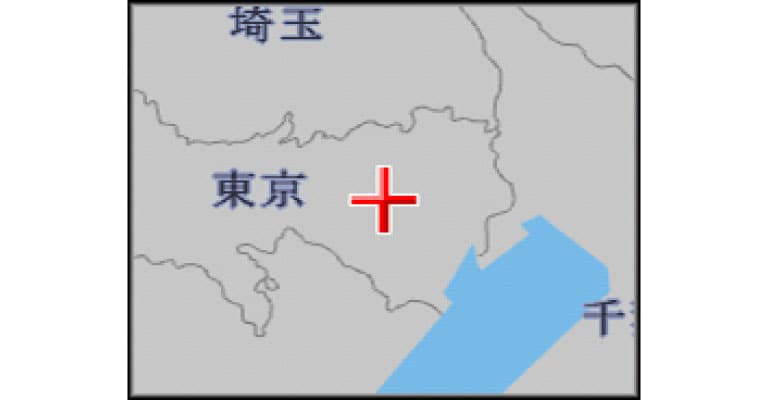 フライビューマップ