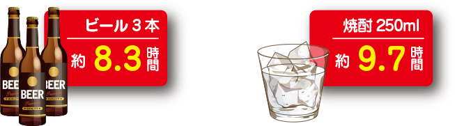 アルコール分解時間の目安は、成人男性65kgで、ビール3本で約8.3時間、焼酎250mlで約9.7時間です。