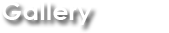 connectivity