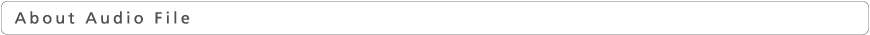 About Audio File