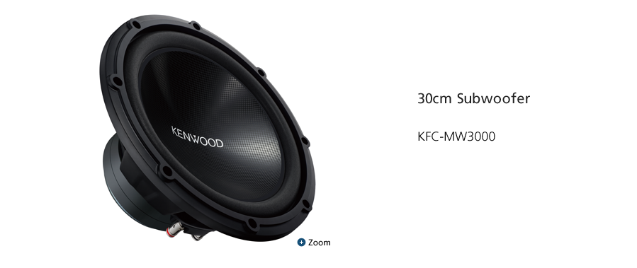 30cm Subwoofer KFC-MW3000